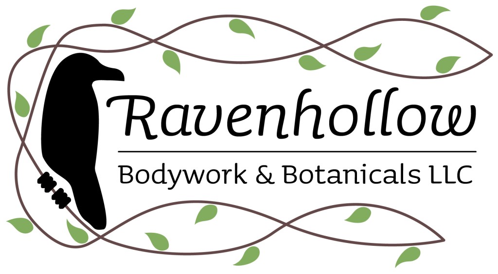 Ravenhollow Bodywork & Botanicals logo with raven and vine.