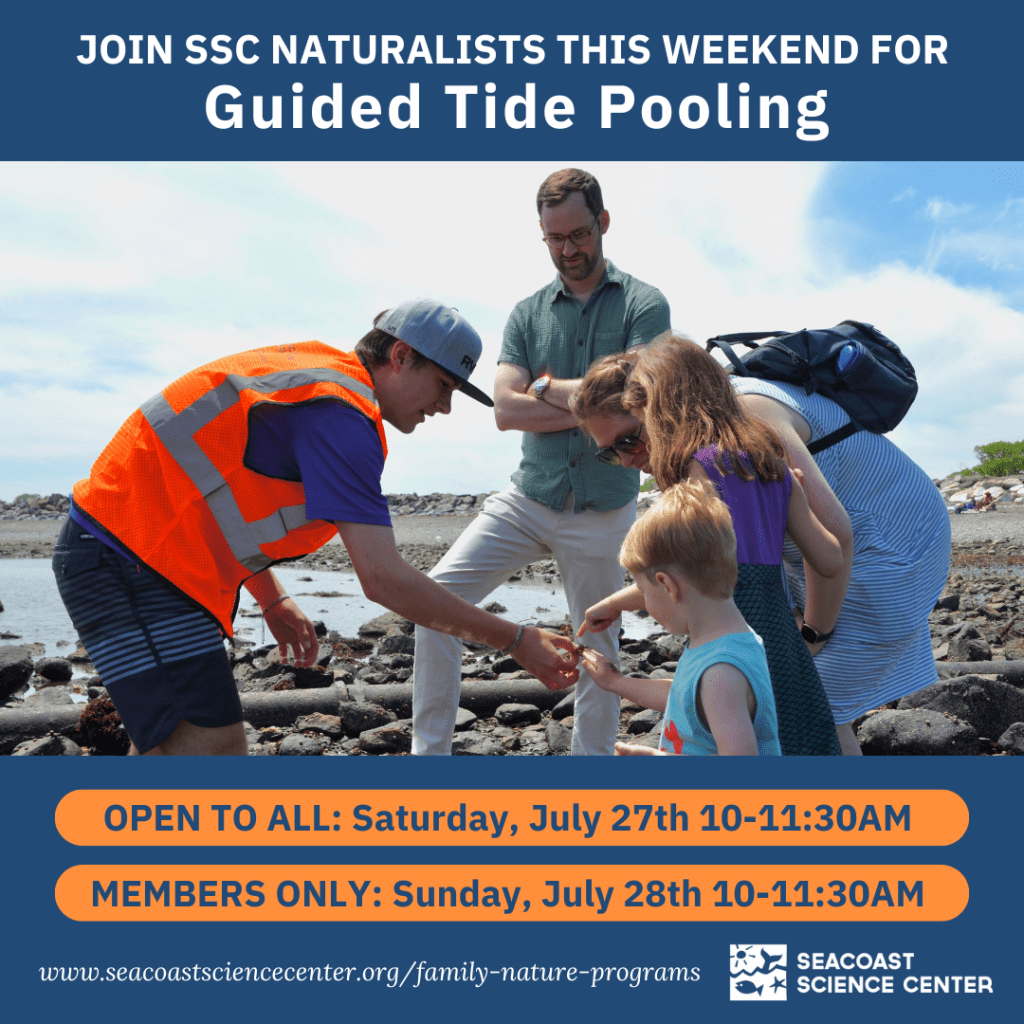 Instagram post with information on Guided Tide Pooling event and parents and kids tide pooling with a naturalist.