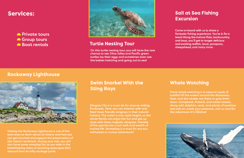 Back of Piddle Paddle Tours brochure, with images of a whale, a turtle, and a lighthouse, as well as information on the different locations the tours offer and services.