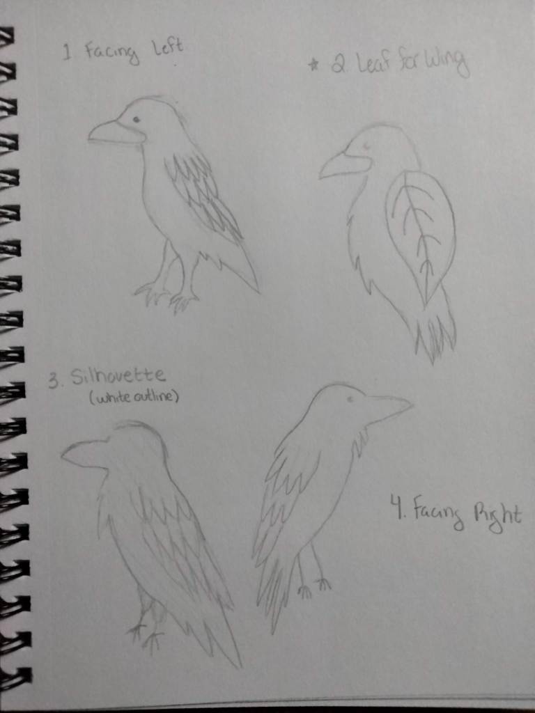 Sketches of ravens in different orientations and styles for Ravenhollow logomark.